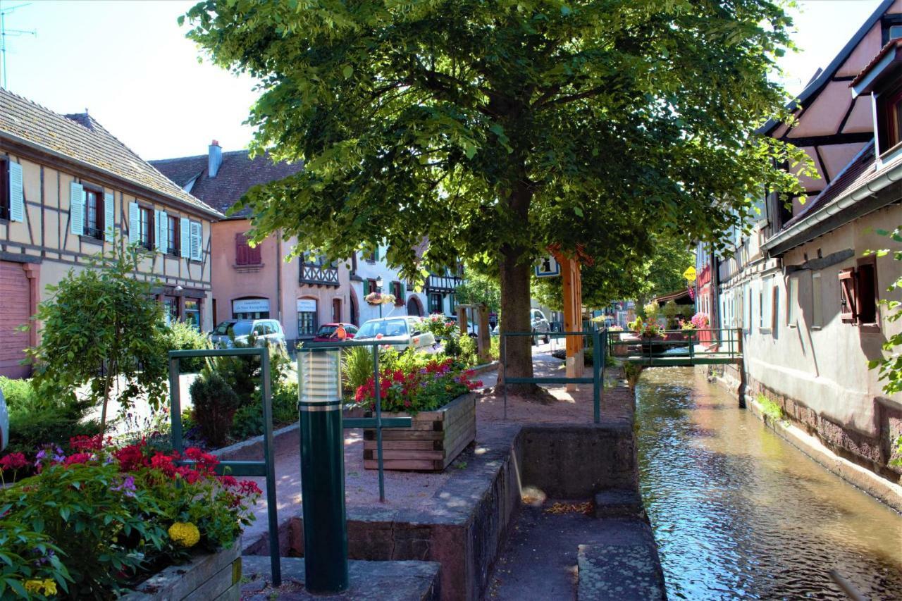 Ferienwohnung La Halte des Vignes Scherwiller Exterior foto