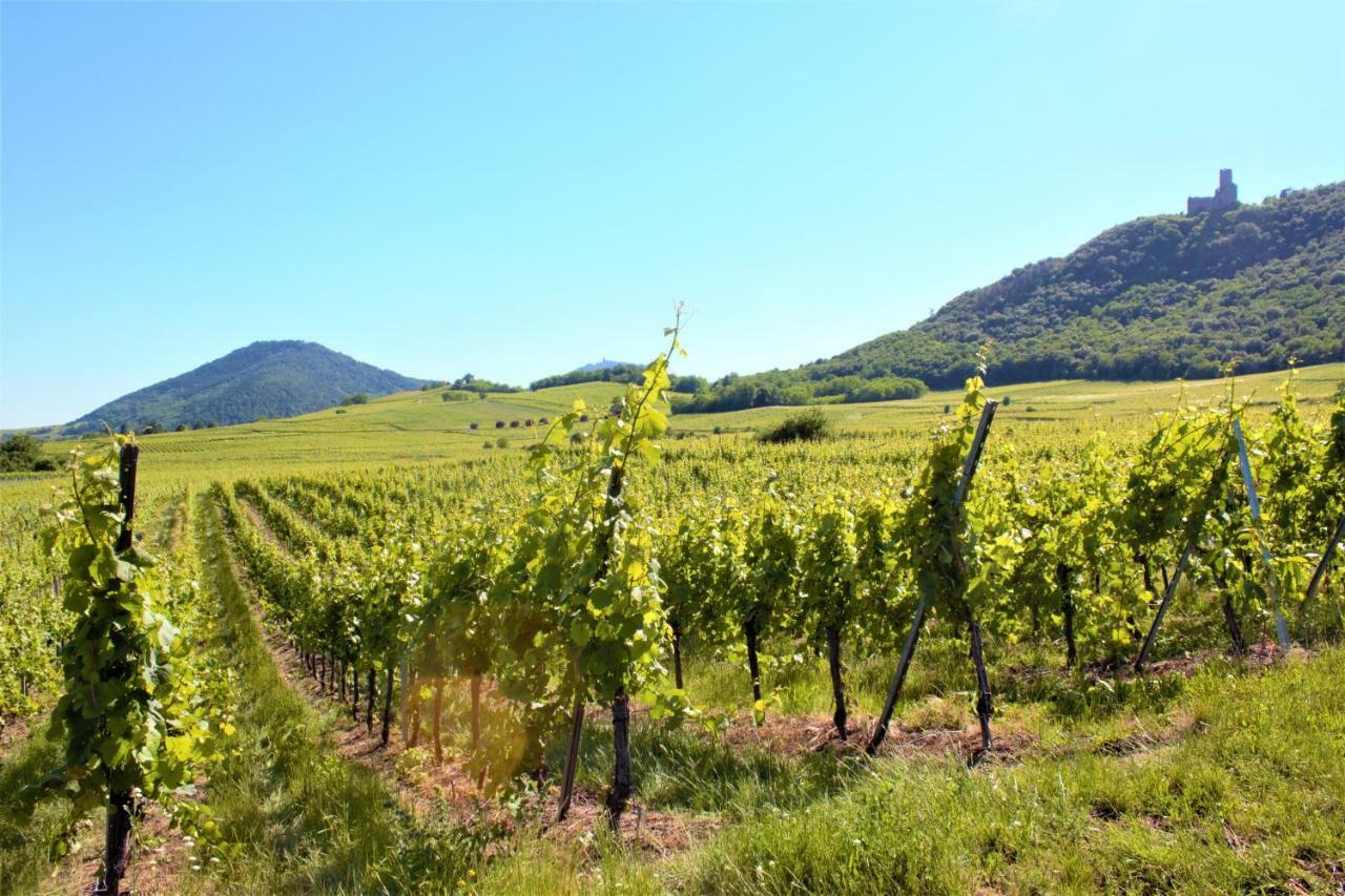 Ferienwohnung La Halte des Vignes Scherwiller Exterior foto